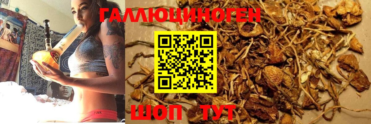 Галлюциногенные грибы Cubensis  Псилоцибиновые грибы Psilocybe  Югорск  Вход с VPN 